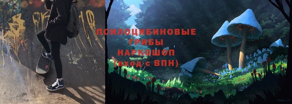 трава Беломорск