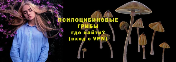 трава Беломорск