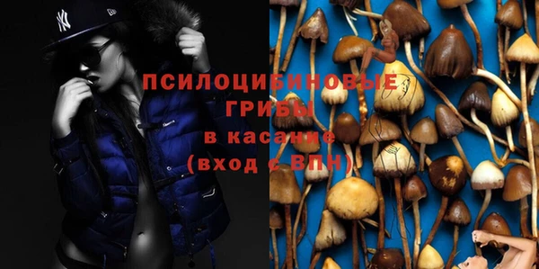 прущая мука Белокуриха