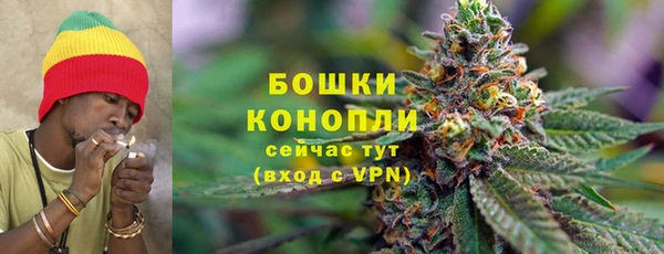 трава Беломорск