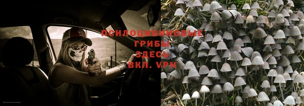 каннабис Саяногорск